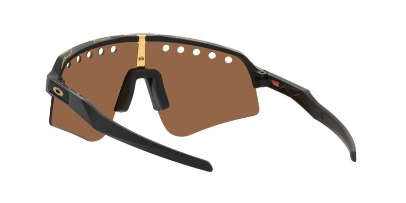 Oakley Sutro Lite Sweep Troy Lee Designs Series